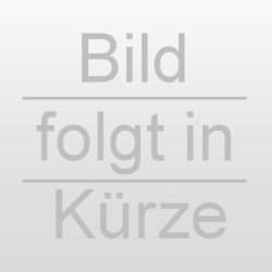 Duravit Scharnier Set Edelstahl 0061101099 f�r Starck 1 WC-Sitz