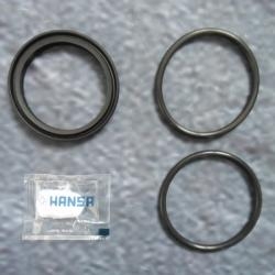 Hansa Dichtungssatz 59904891 Dichtung Satz f�r HansaDisc HansaMix